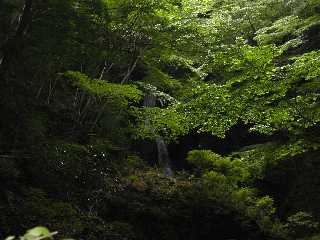 yubune8 不老の滝