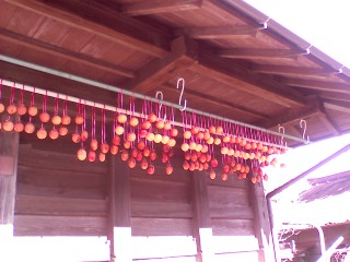 091203kaki 091203kaki