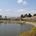 20100408-12 20100408-12