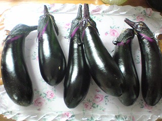 20100804190101 20100804190101