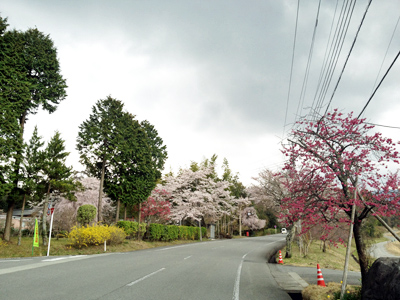 西ゲート～東ゲート