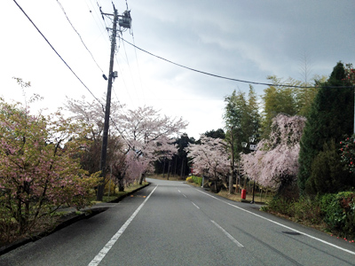 西ゲート～東ゲート