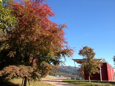 コカ・コーラコーナー コカ・コーラコーナー