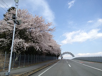 場内道路 場内道路