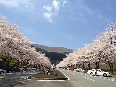 冨士霊園 冨士霊園