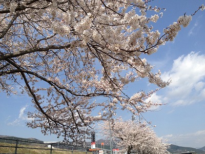 パドック パドック