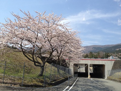 トンネル トンネル