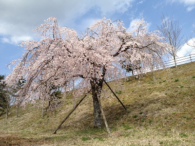 西ゲート 西ゲート