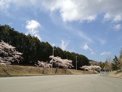 西ゲート 西ゲート