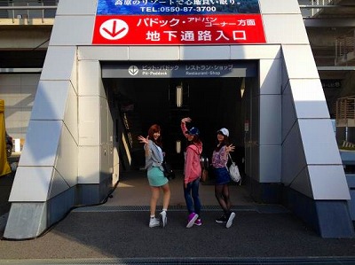 cranes_img_7 cranes_img_7