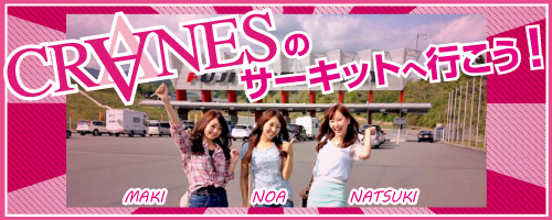 cranes-banner1 cranes-banner1