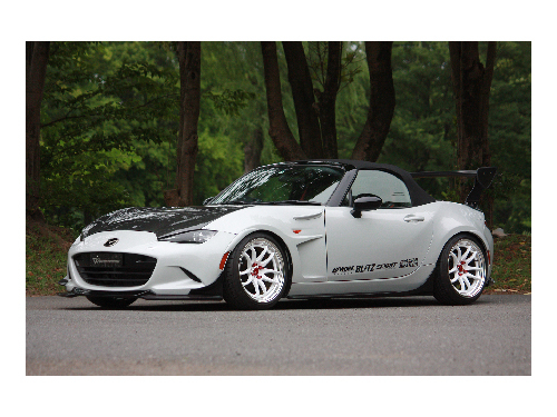 ガレージ・ベリー