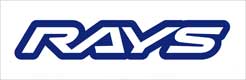 株式会社レイズ