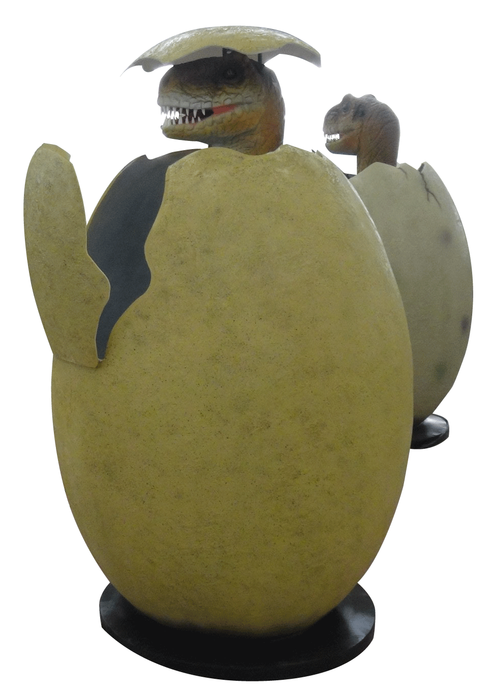 恐竜卵